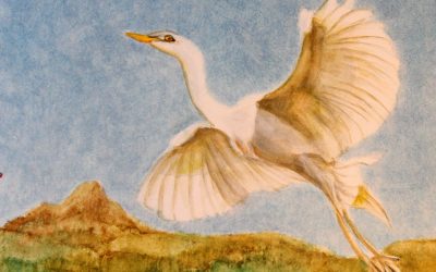 A good question for these times